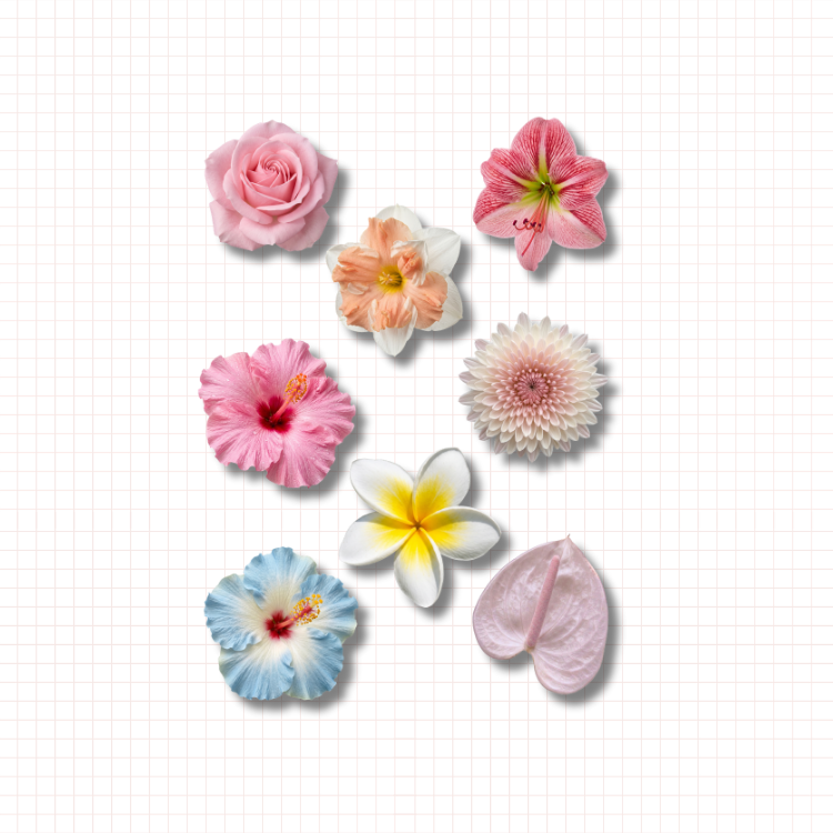Sunkissed Petals Sticker Pack