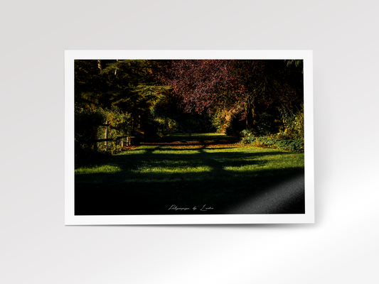 The Path of Light
