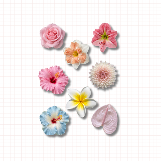 Sunkissed Petals Sticker Pack